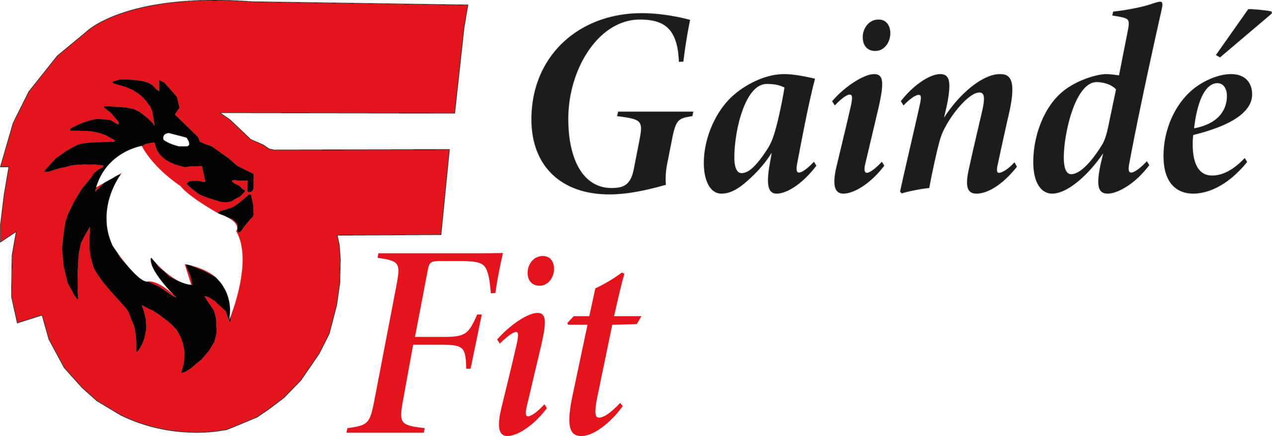 xn--gaindfit-f1a.com